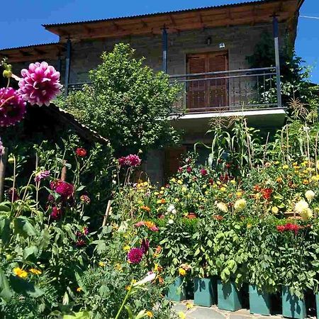 Guesthouse Gouris Tsepelovo Exteriér fotografie