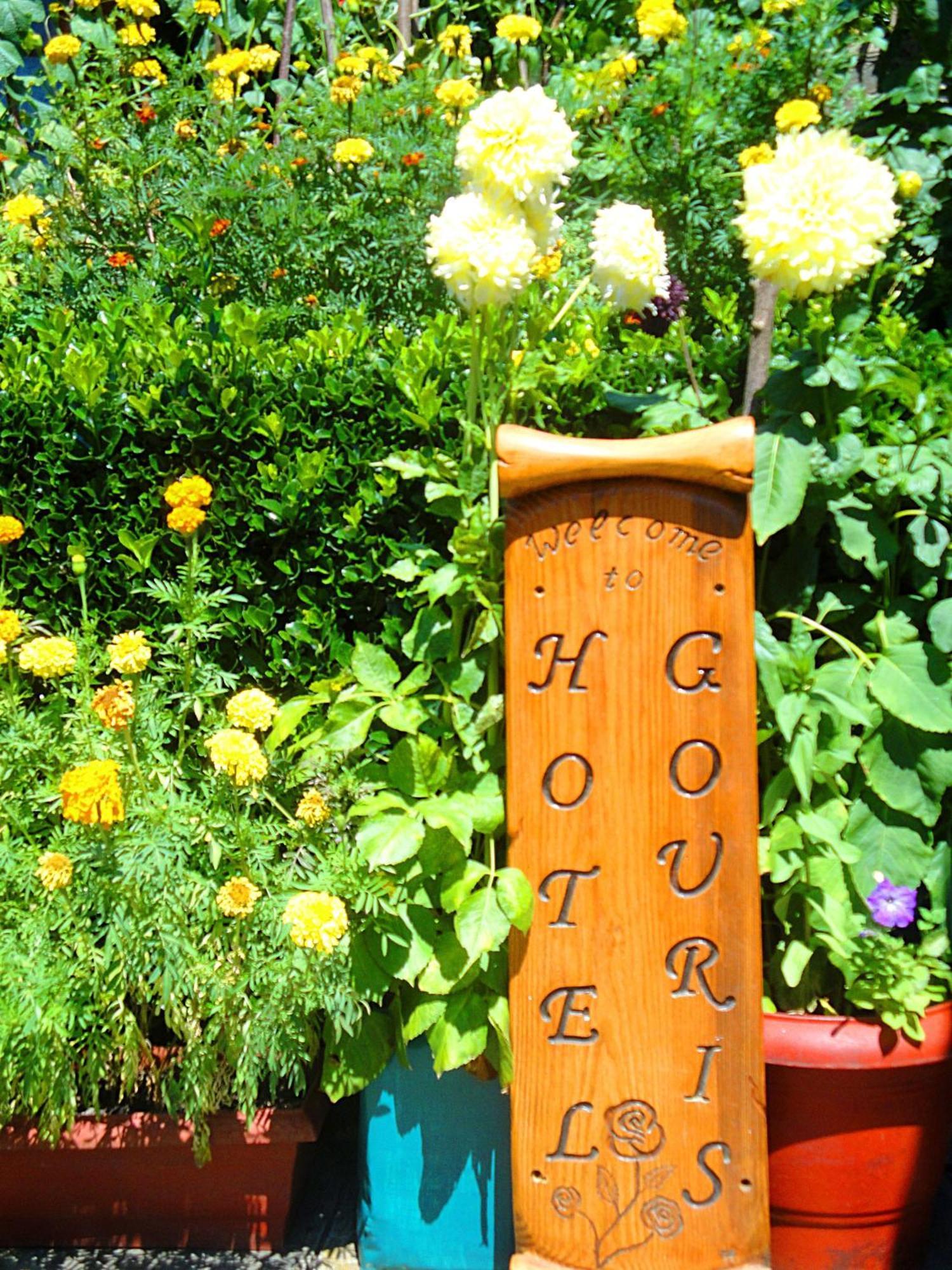 Guesthouse Gouris Tsepelovo Exteriér fotografie