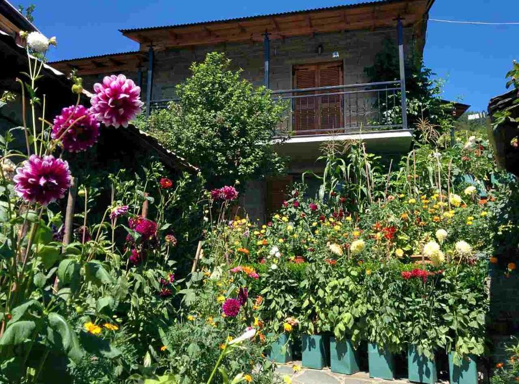 Guesthouse Gouris Tsepelovo Exteriér fotografie