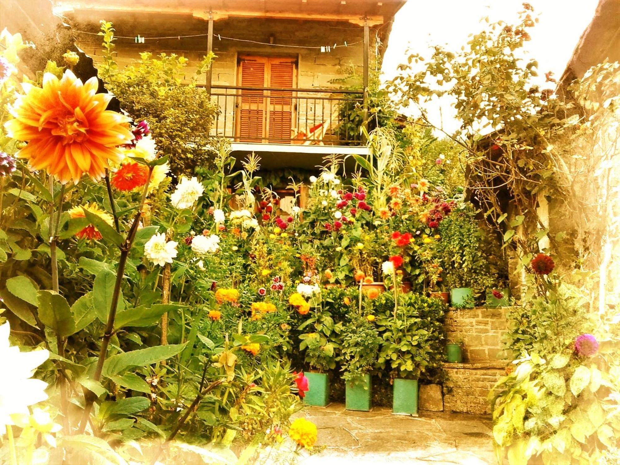 Guesthouse Gouris Tsepelovo Exteriér fotografie