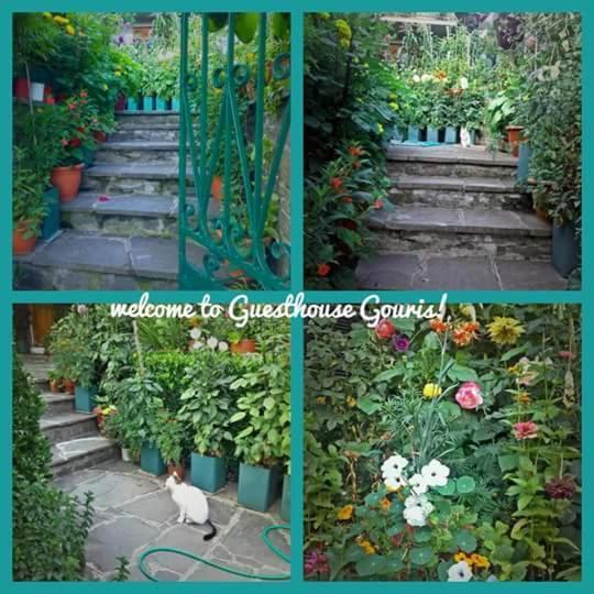 Guesthouse Gouris Tsepelovo Exteriér fotografie